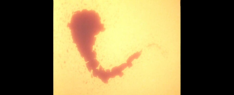 가오가이가)부활한 킹 제이더 사단을 보고 경악에 빠진 원종들_21.jpg