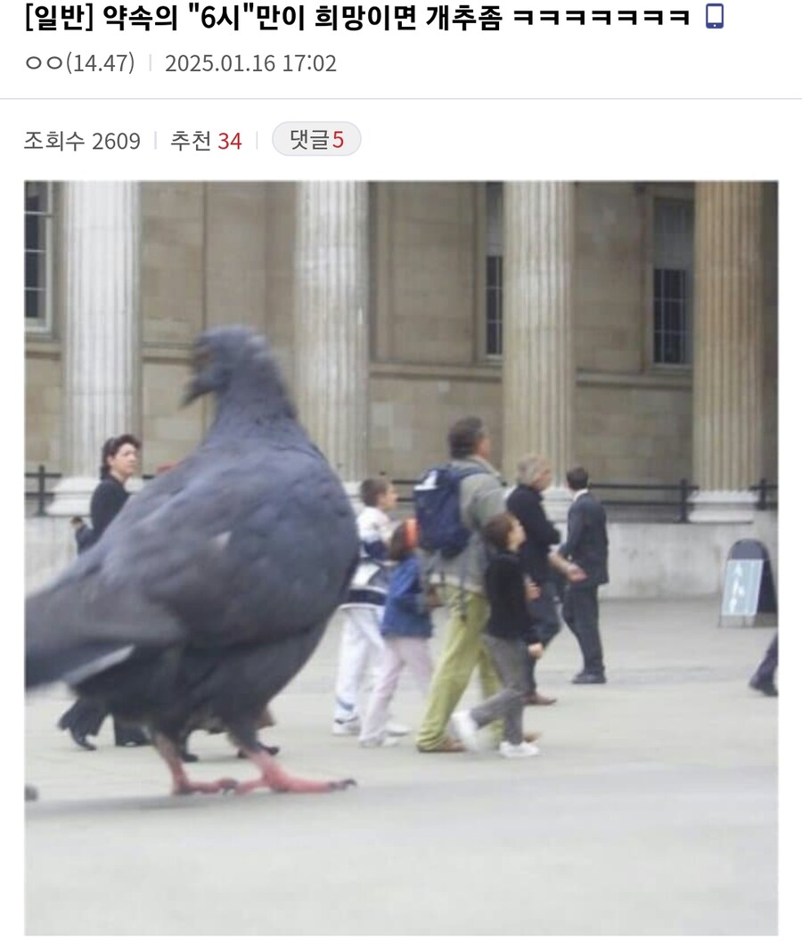 스위치2 공개전 벌어진 기우제_8.png