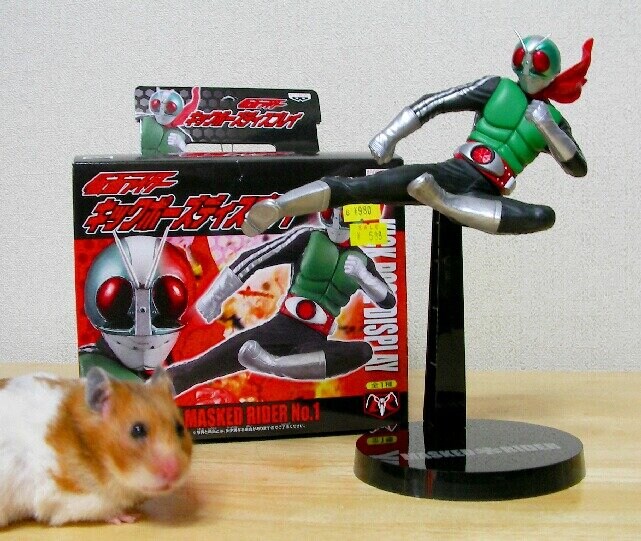 햄스터 이대로 가면_1.jpg