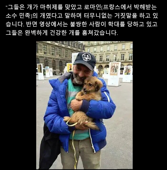 프랑스에서 동물보호단체가 욕 거하게 먹었던 사건.MP4_3.png