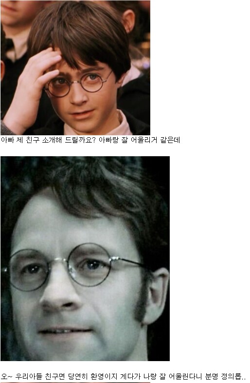 해리포터)제임스vs스네이프 논란에 종결찍는게 가능한 캐릭터_4.png