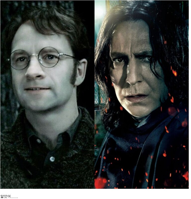 해리포터)제임스vs스네이프 논란에 종결찍는게 가능한 캐릭터_13.png