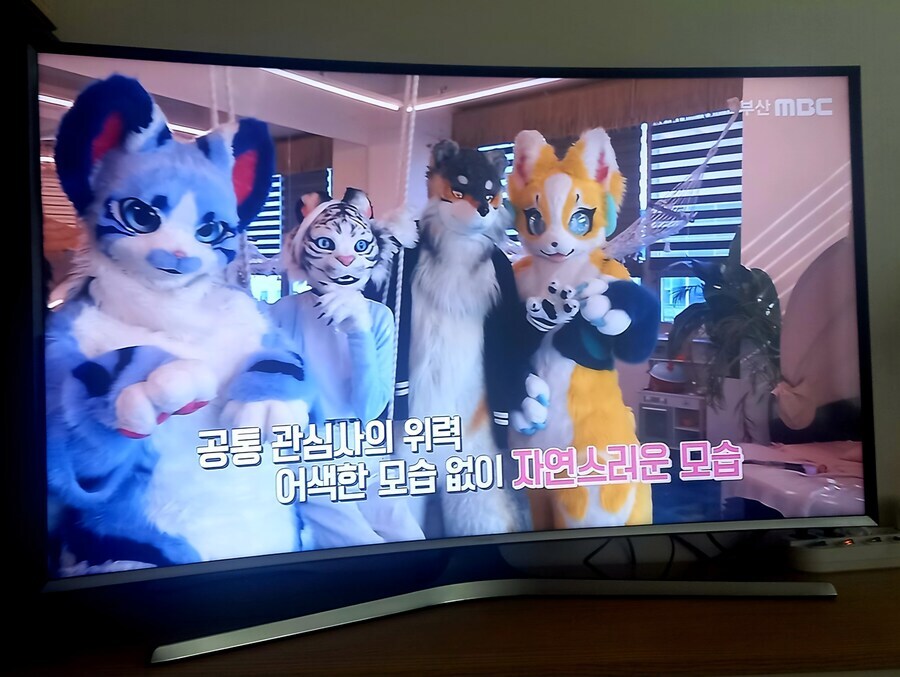 요즘 MBC 선넘는거 아니냐?_2.jpg