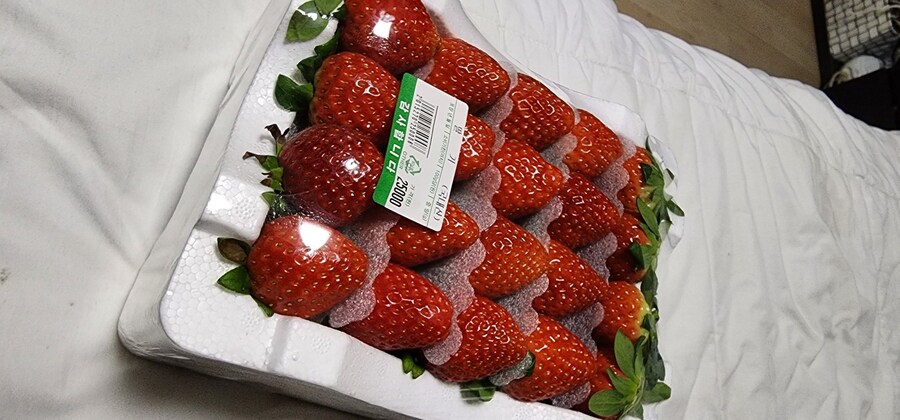 아파트에서 돌발 퀘스트 받은 사람.x_5.jpg