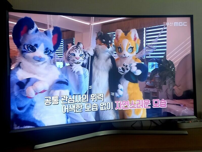 MBC 문화방송 근황.jpg_2.jpg