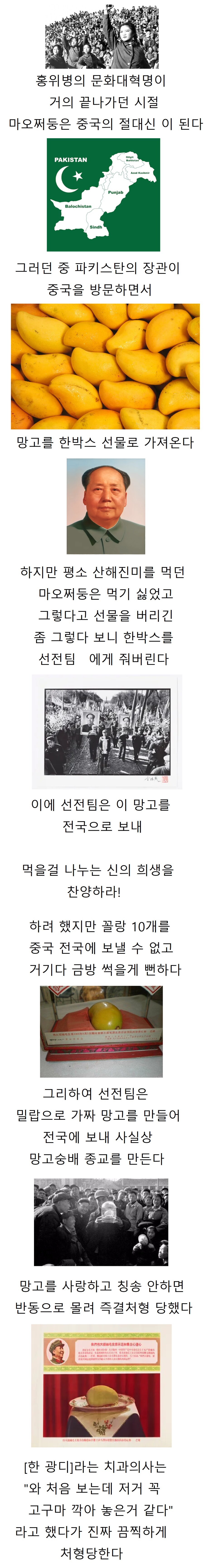 중국에서 가장 억울하게 죽은 치과의사. jpg_1.png