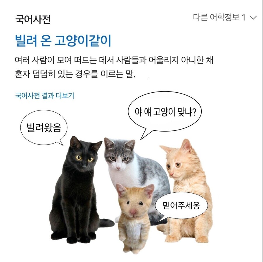 실제로 있는 귀여운 속담이지만.jpg_2.jpg