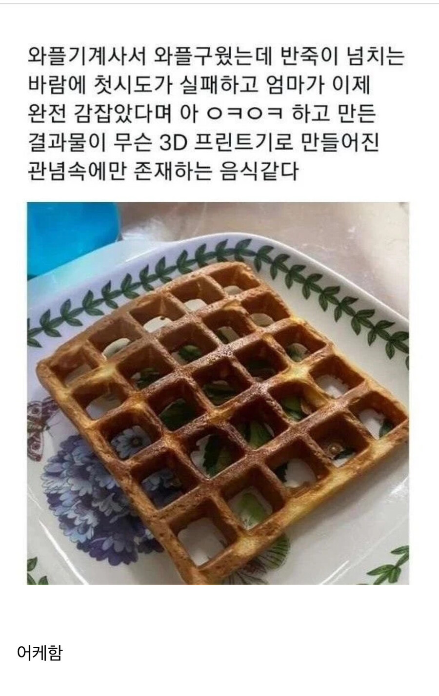 관념 속에만 존재하는 와플을 만든 어머니.jpg_1.jpg