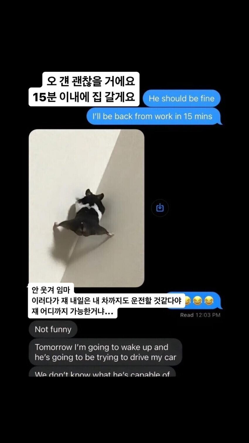 아빠가 딸에게 "너가 키우는 햄스터가 탈출했다"며 보내온 문자.jpg_3.jpg