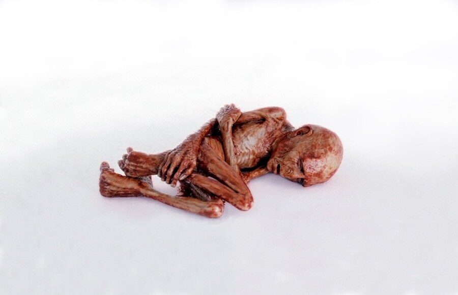 해리포터) 볼드모트 부활에 자주 하는 오해 하나._4.jpg