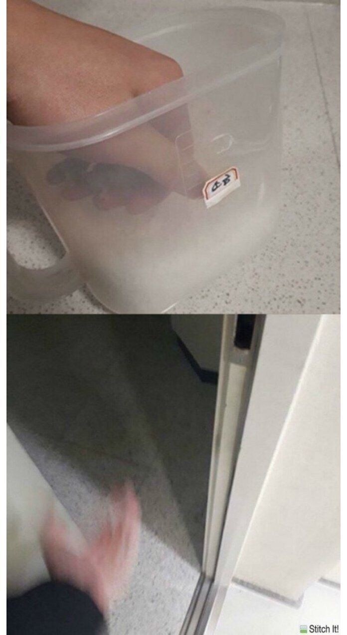 무시무시한 커피맛 막걸리의 최후_4.jpg