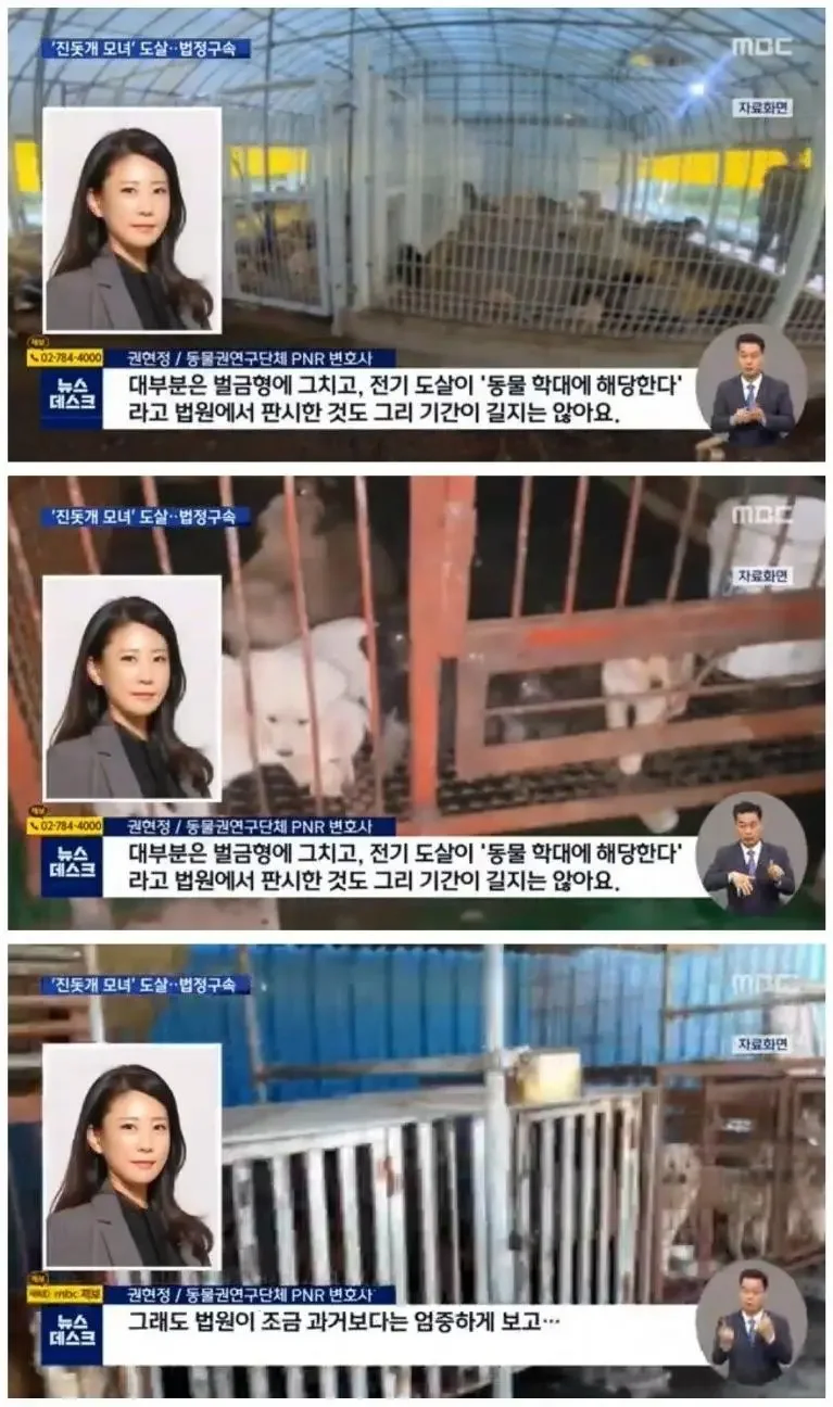 잘 키우겠습니다...?_2.webp