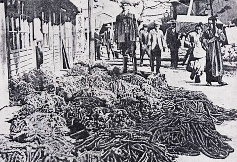 루머) 스위치2. 한국은 플스5보다 비싼 가격으로 판매_4.jpg