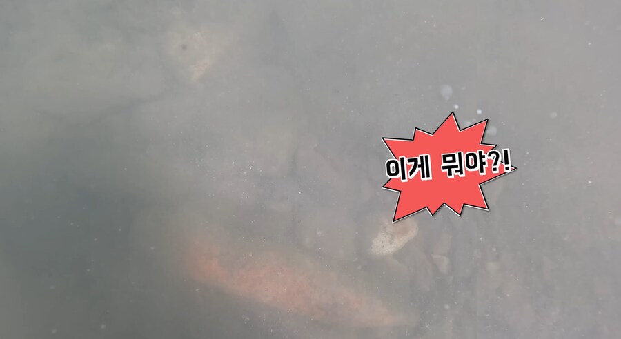 베글 낚시하다 백린탄 발견한 유튜버 더 무서운점;;;;_1.png
