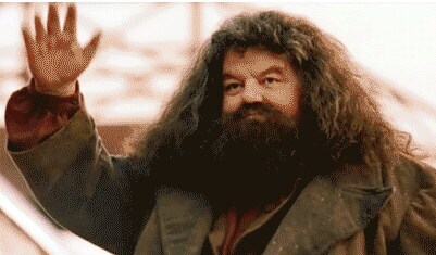 해리포터) 해그리드가 가장 두려워한 마법 생물_1.jpg