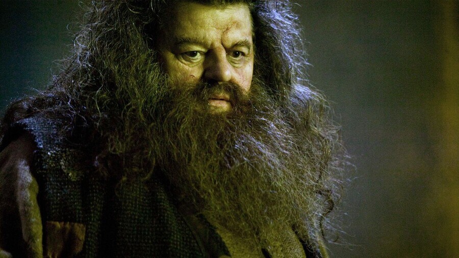 해리포터) 해그리드가 가장 두려워한 마법 생물_4.jpg