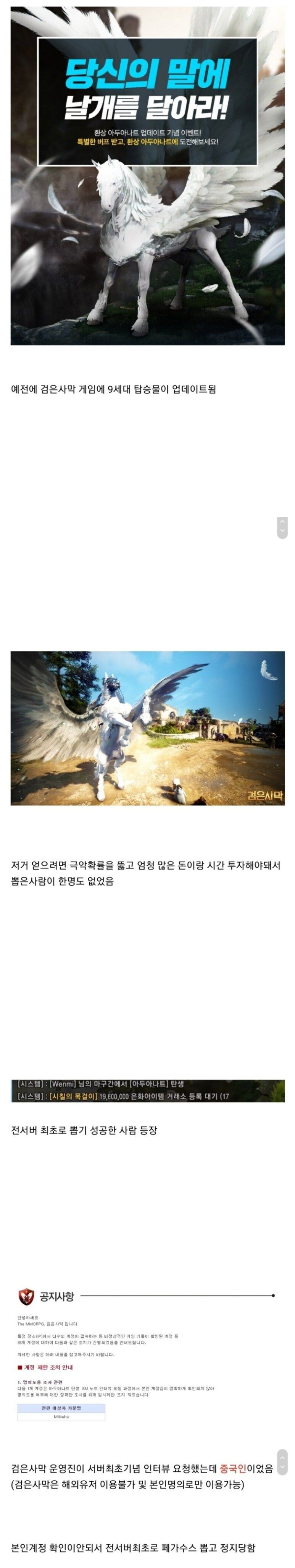 검은사막)전설이된 말뽑기 사건_1.jpg