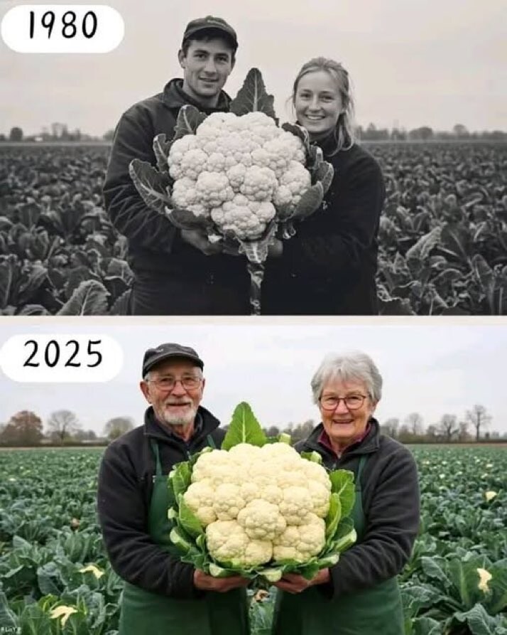 결혼 생활의 로망_1.jpg