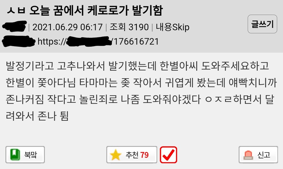 야한꿈 꾼 사람_1.jpg