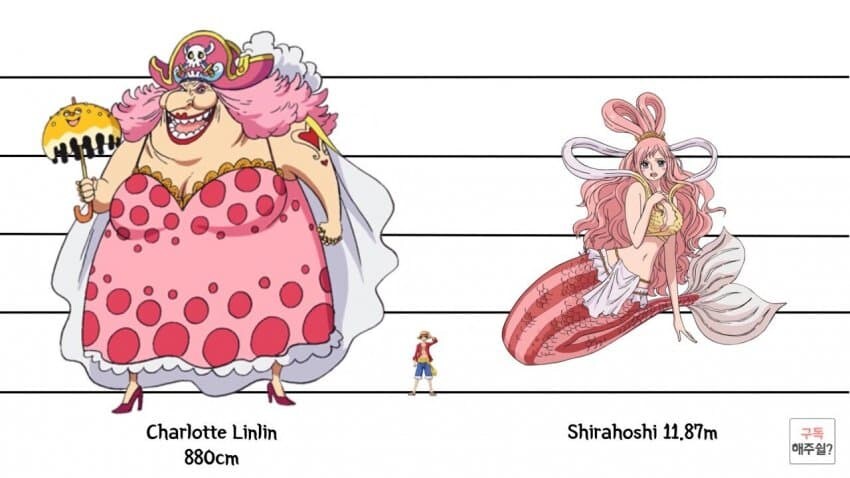 원피스 팬들도 쉴드치지 않고 욕하는 설정.jpg_8.jpg