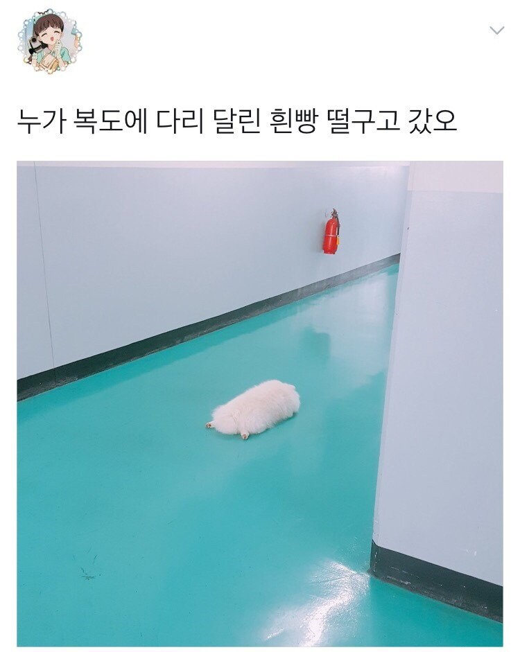 누가 복도에 흰 빵 떨구고 갔오.jpg_1.jpg