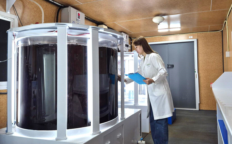 떡상 했다가 불과 한달만에 떡락한 미래? 기술_2.jpg