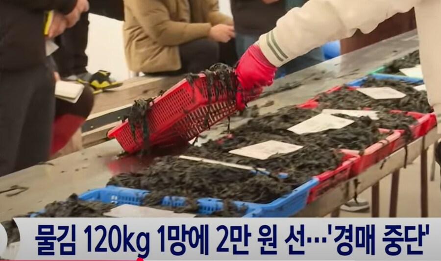 떡상 했다가 불과 한달만에 떡락한 미래? 기술_4.jpg