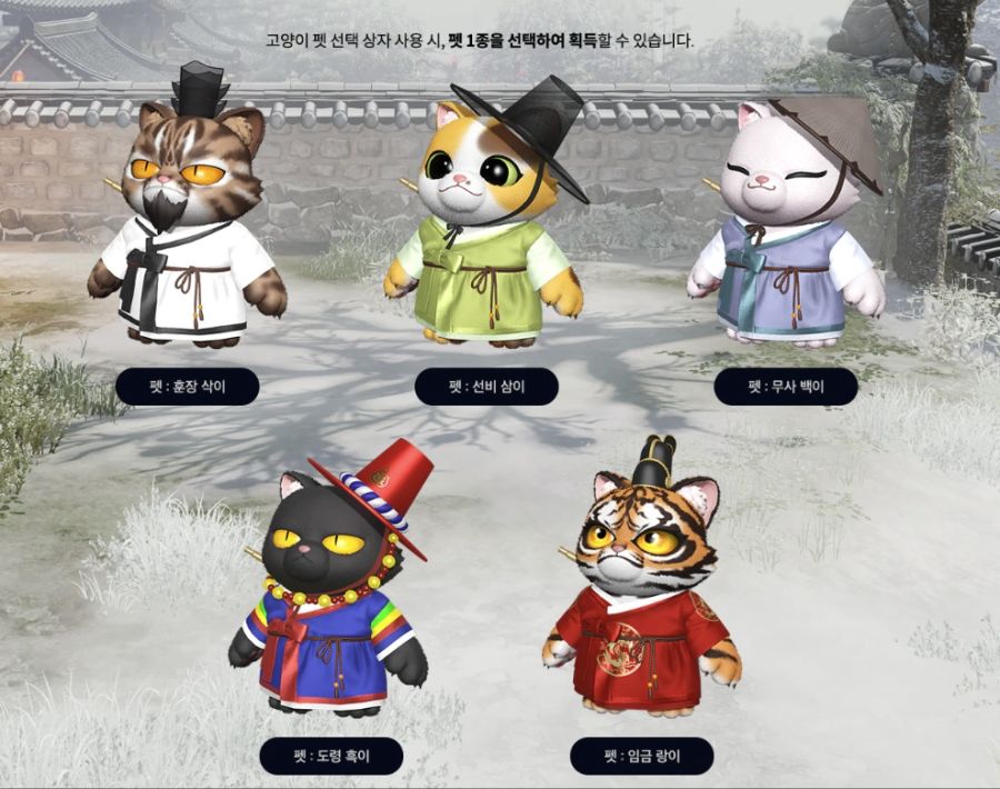 [로아] 로스트아크 '여명의 설빔' 아바타 공개 (2025년 설날 아바타)_18.jpg