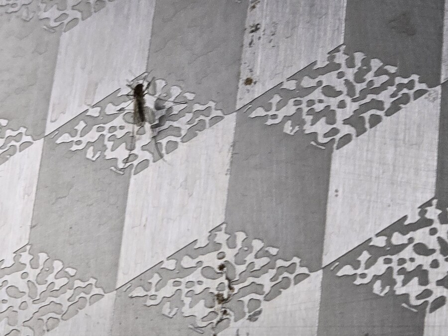 오늘 찍은 충격적인 사진_2.jpg