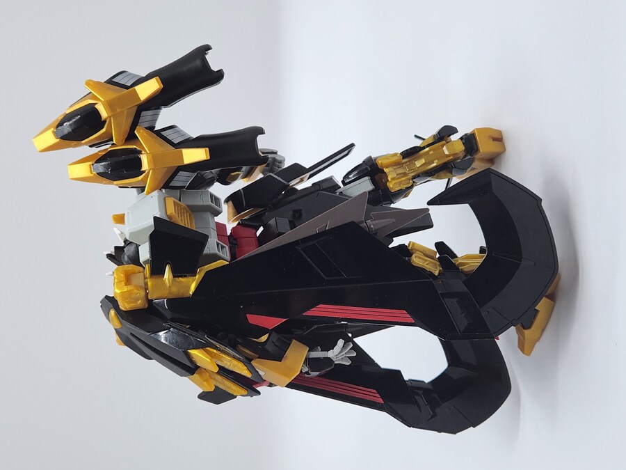 [HG]건담 슈발츠클라우에_2.jpg