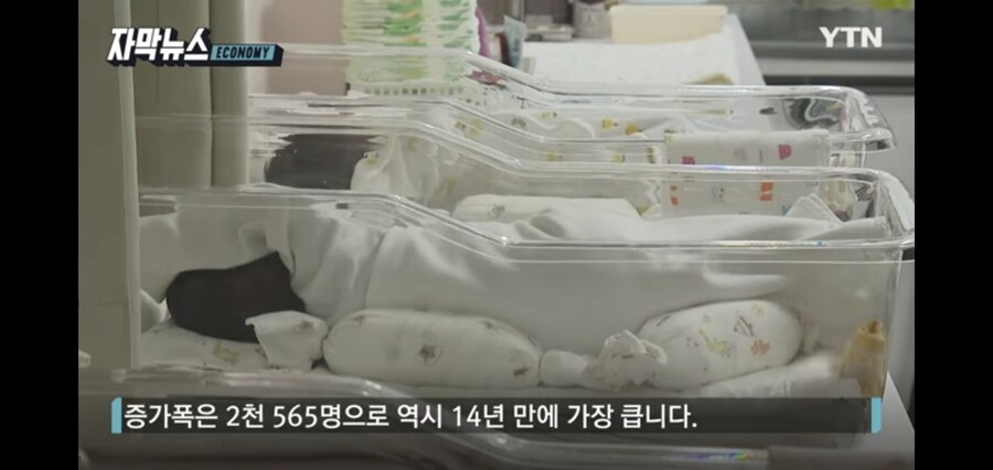 대한민국 저출산율 근황.JPG_4.jpg
