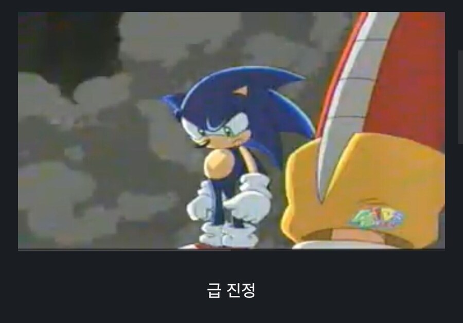 소닉) 의외로 폭주한 소닉을 진정시킬 수 있는 사람_3.jpg
