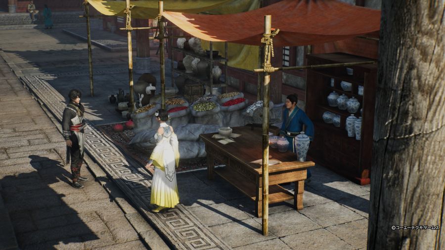 진 삼국무쌍 ORIGINS 견희_10.jpg