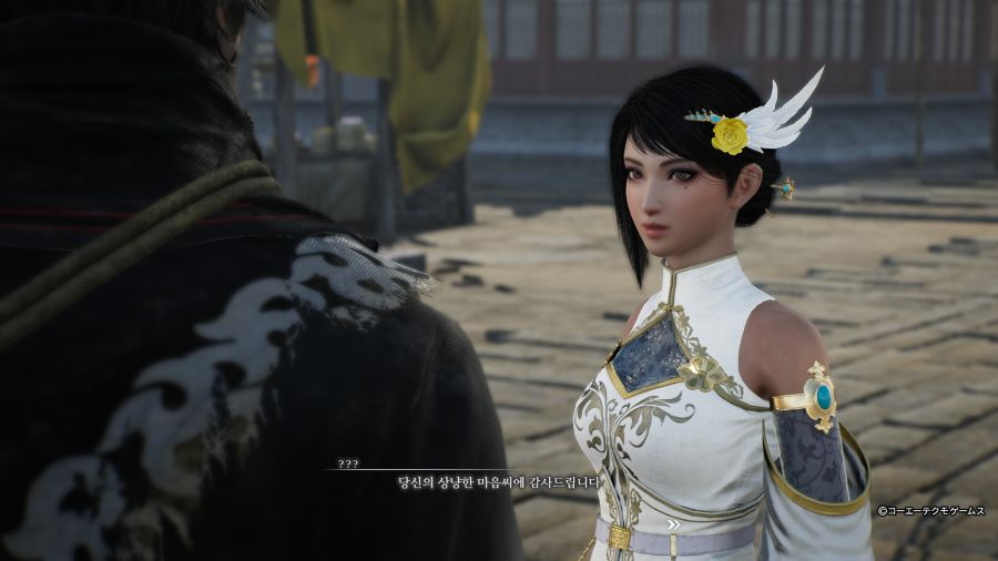 진 삼국무쌍 ORIGINS 견희_21.jpg
