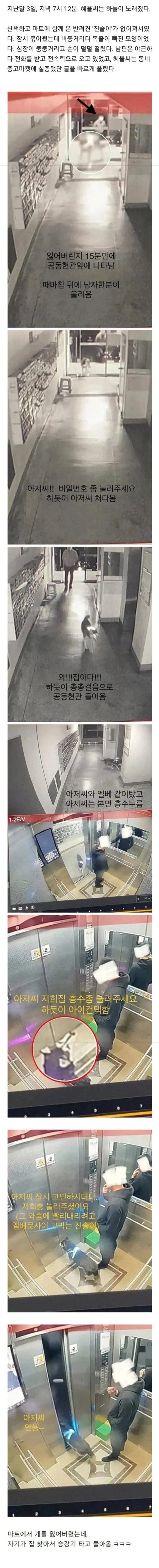 마트에서 잃어버린 개의 최후_1.png