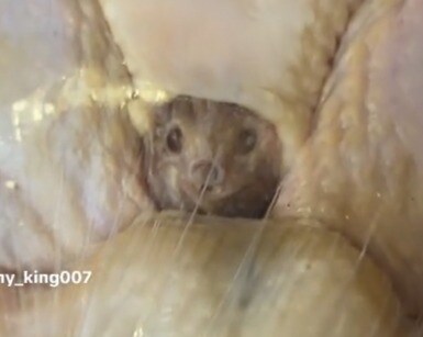 마트 칠면조 속의 뭔가를 발견한 아줌마_1.jpg