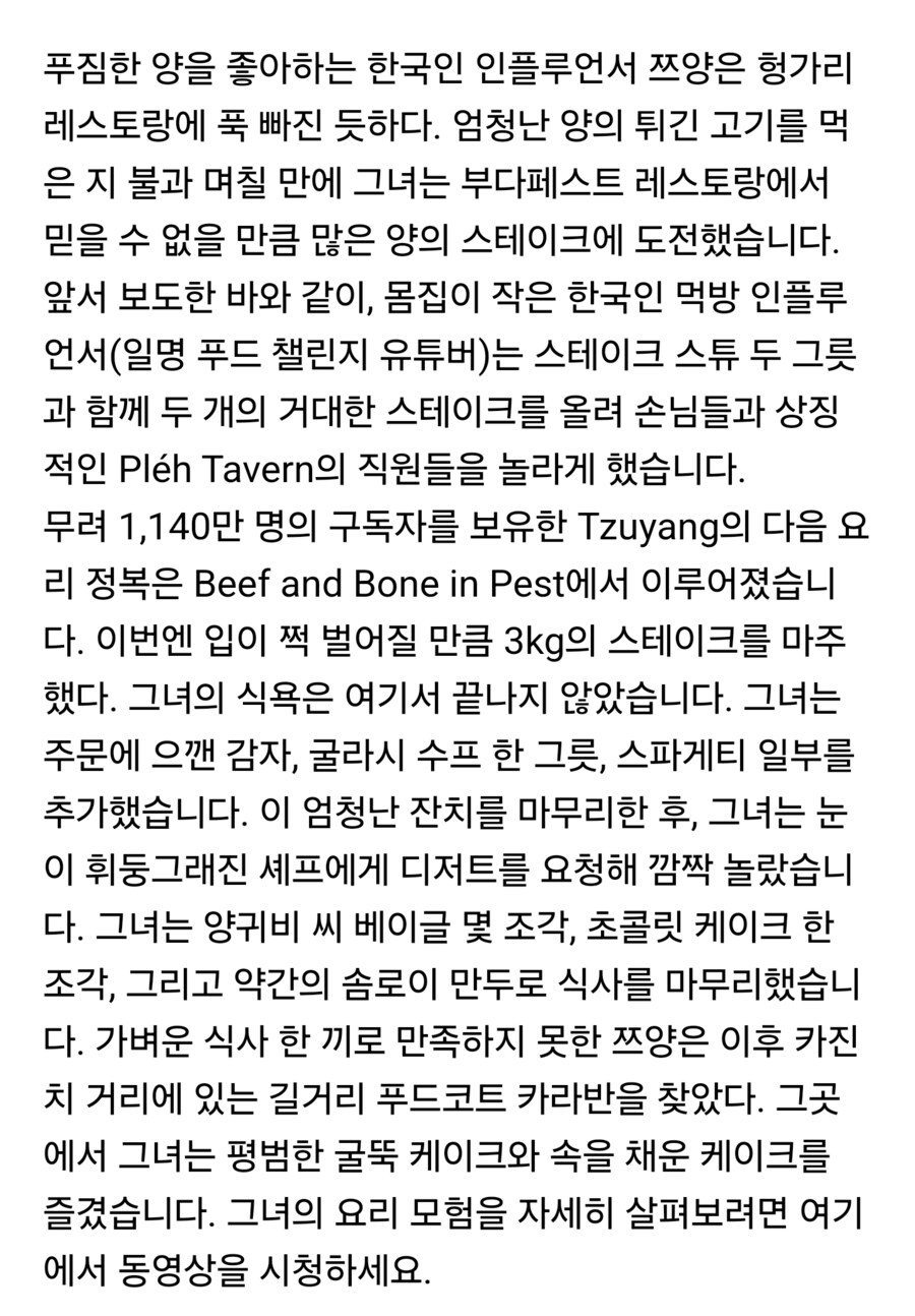 헝가리 뉴스까지 타버린 쯔양.jpg_3.png