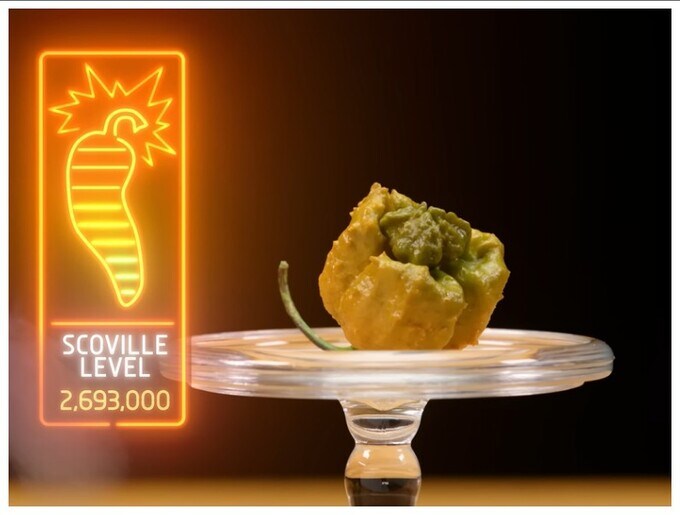 기네스에 등재된 세상에서 가장 매운 고추_1.jpg