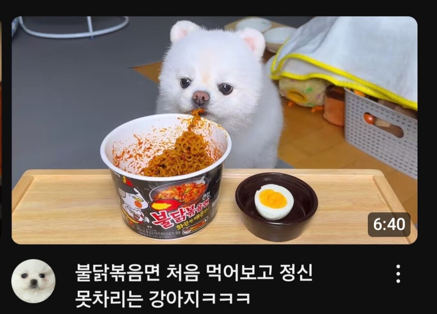 아니 강아지 한테 불닭면을 먹여 ?_1.jpg