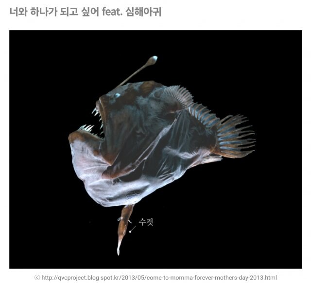 히토미에서 본적있는 실제 교미방법&nbsp;_1.jpg