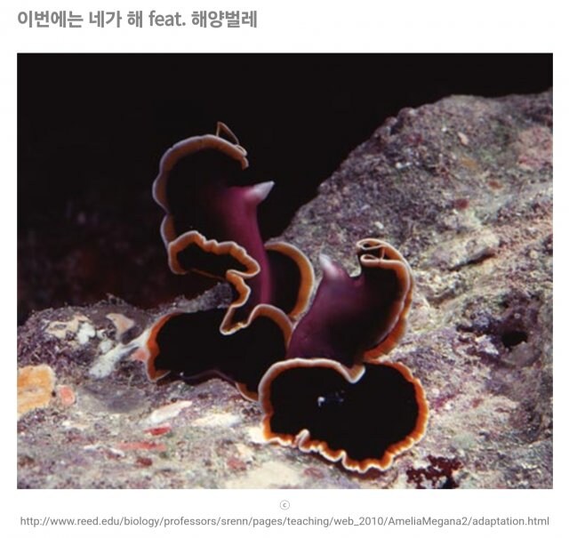 히토미에서 본적있는 실제 교미방법&nbsp;_3.jpg