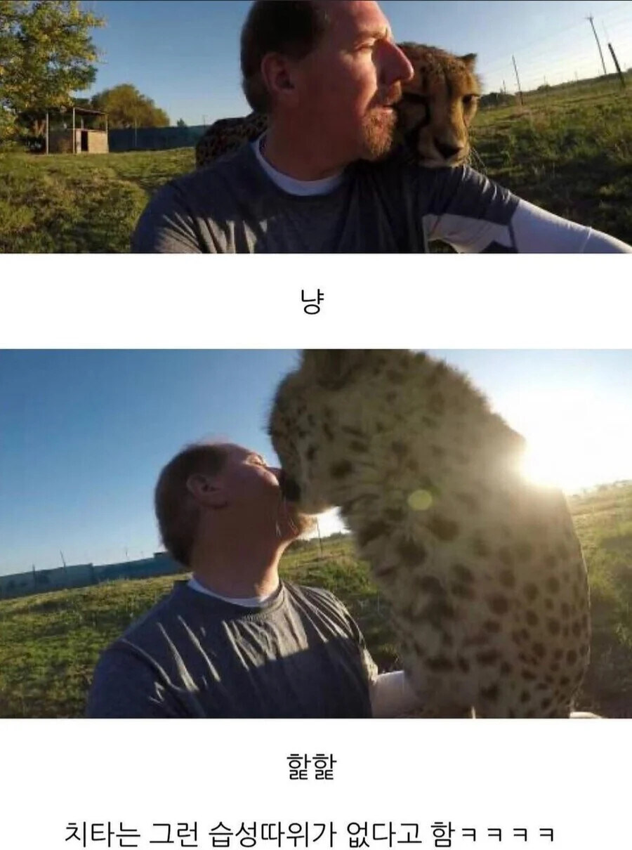 맹수들에게 등을 보이면 안되는 이유.jpg_5.jpg