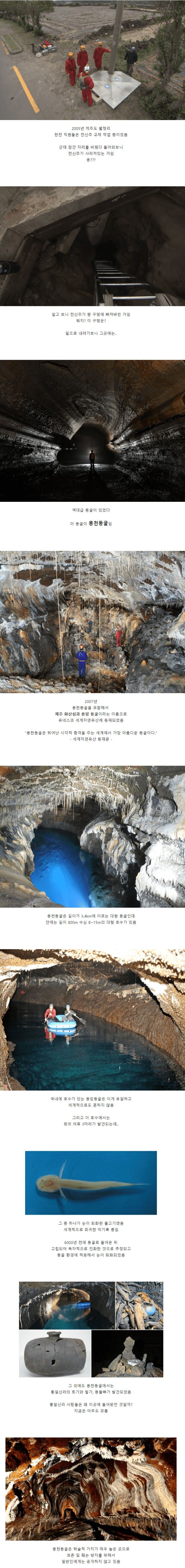 한국에서 개뜬금 발견된 유네스코 세계자연유산.jpg_1.jpg