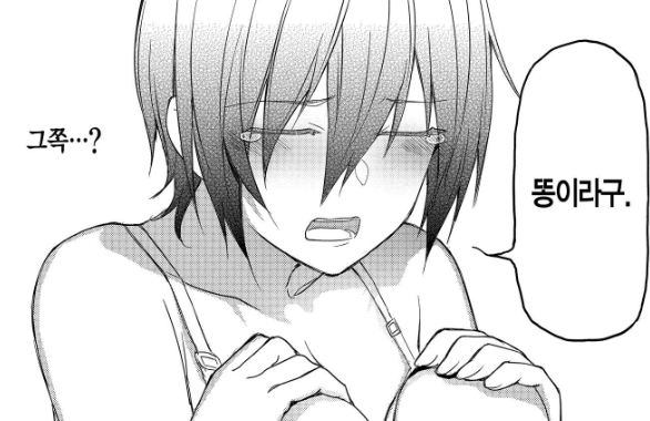 미소녀 만화로써 금기란 금기는 다 어긴 작품_4.png