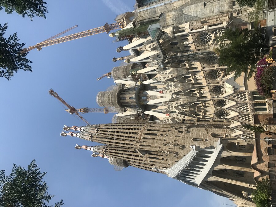 2년 뒤 완공되는 성당 근황 ㄷㄷㄷㄷ.jpg_3.jpg