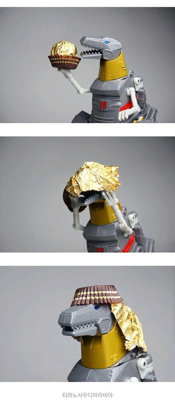 이탈리아 명품 초콜릿 금박으로 멋을 낸 티라노사우_1.jpg