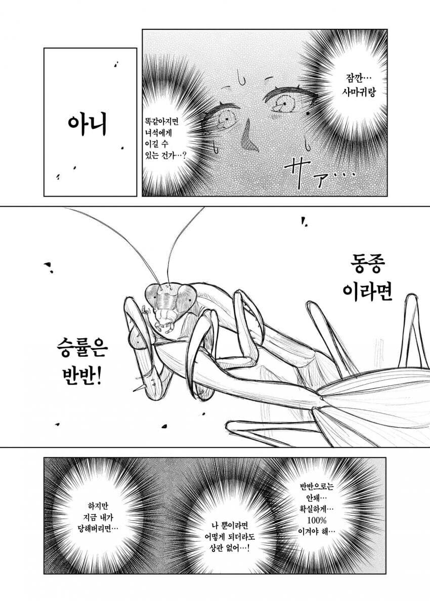 @) 사마귀랑 싸우는 히구치 마도카 만화_11.jpg