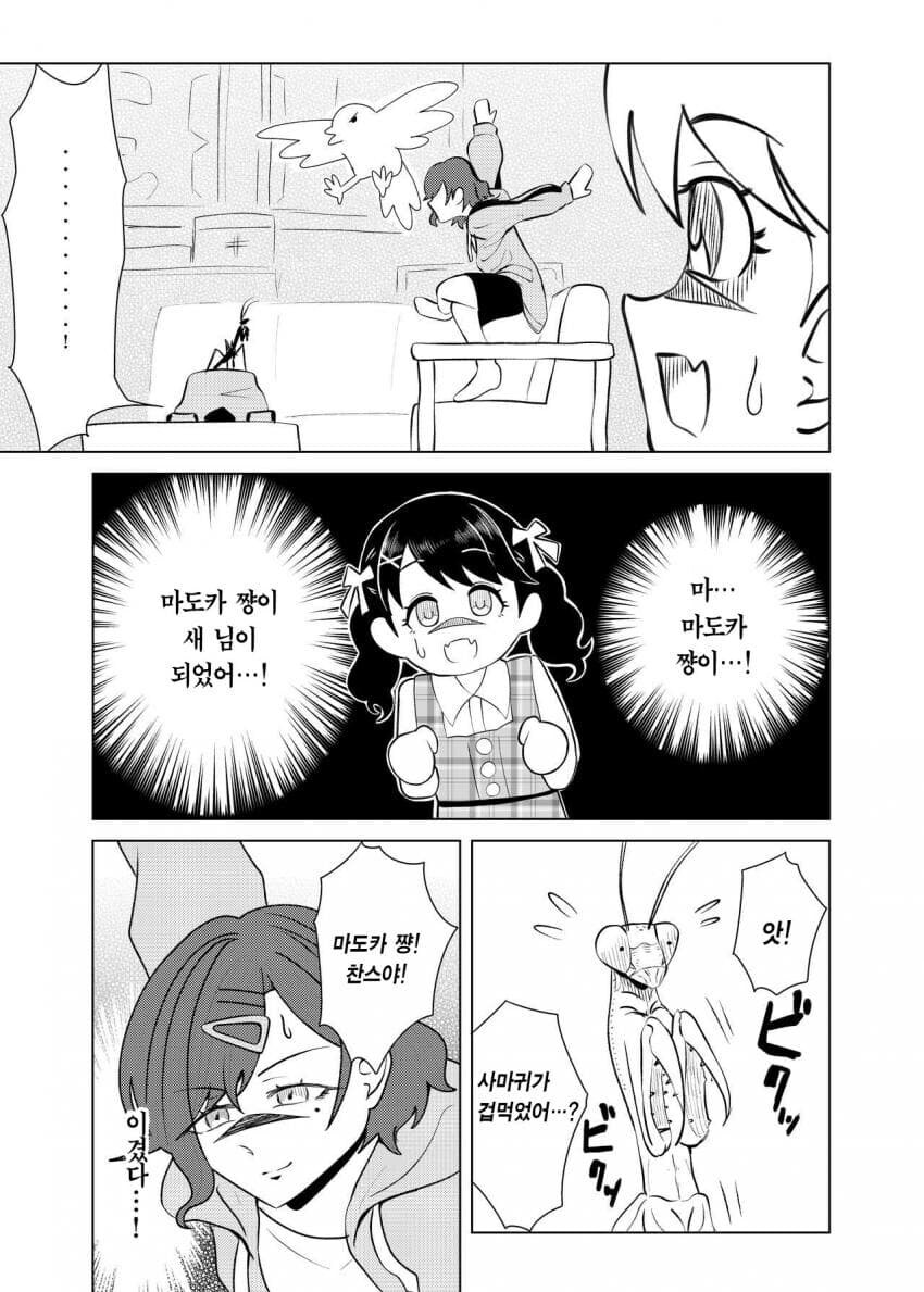 @) 사마귀랑 싸우는 히구치 마도카 만화_14.jpg