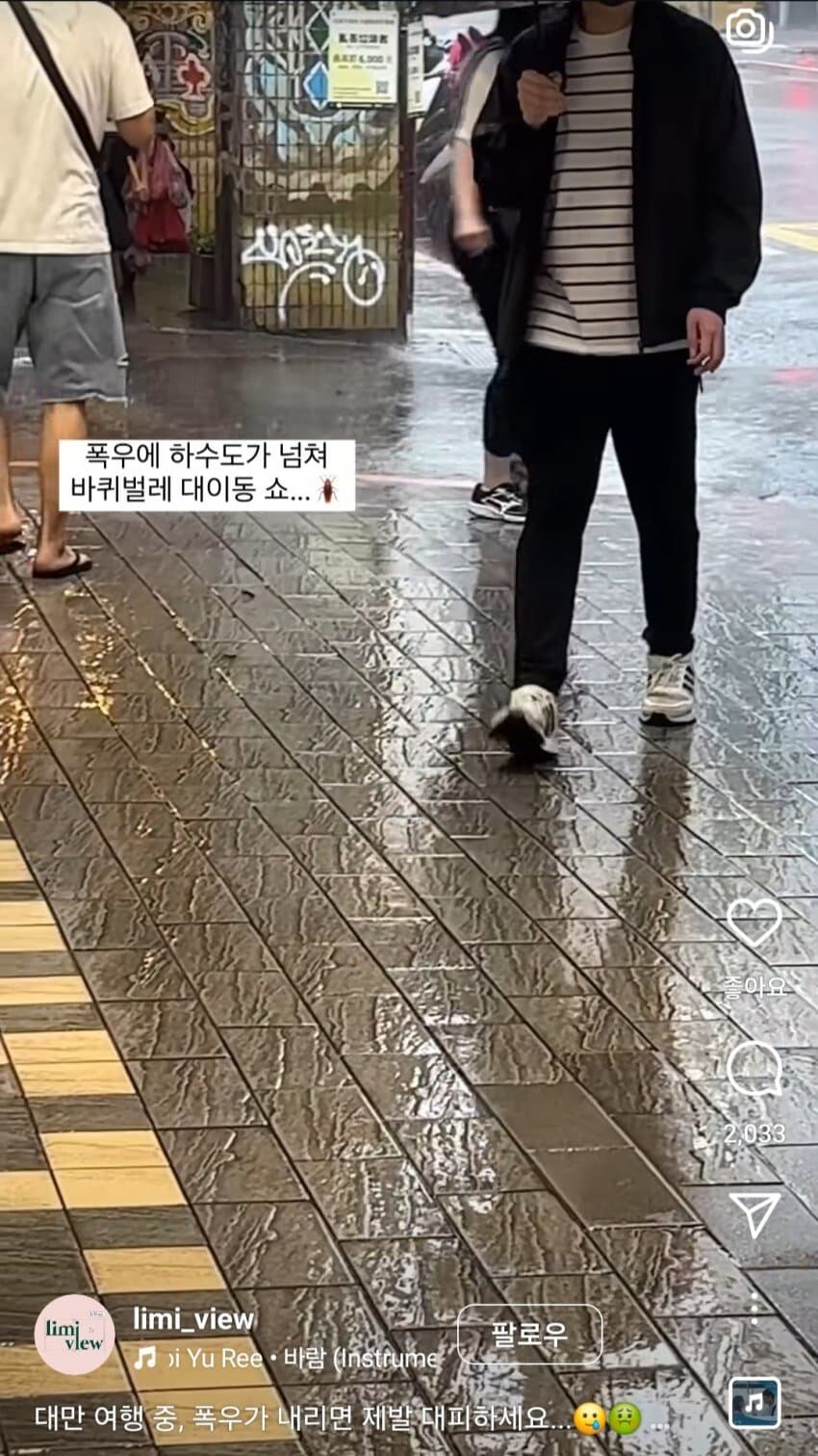 대만에서 비올때 조심해야하는거_2.jpg