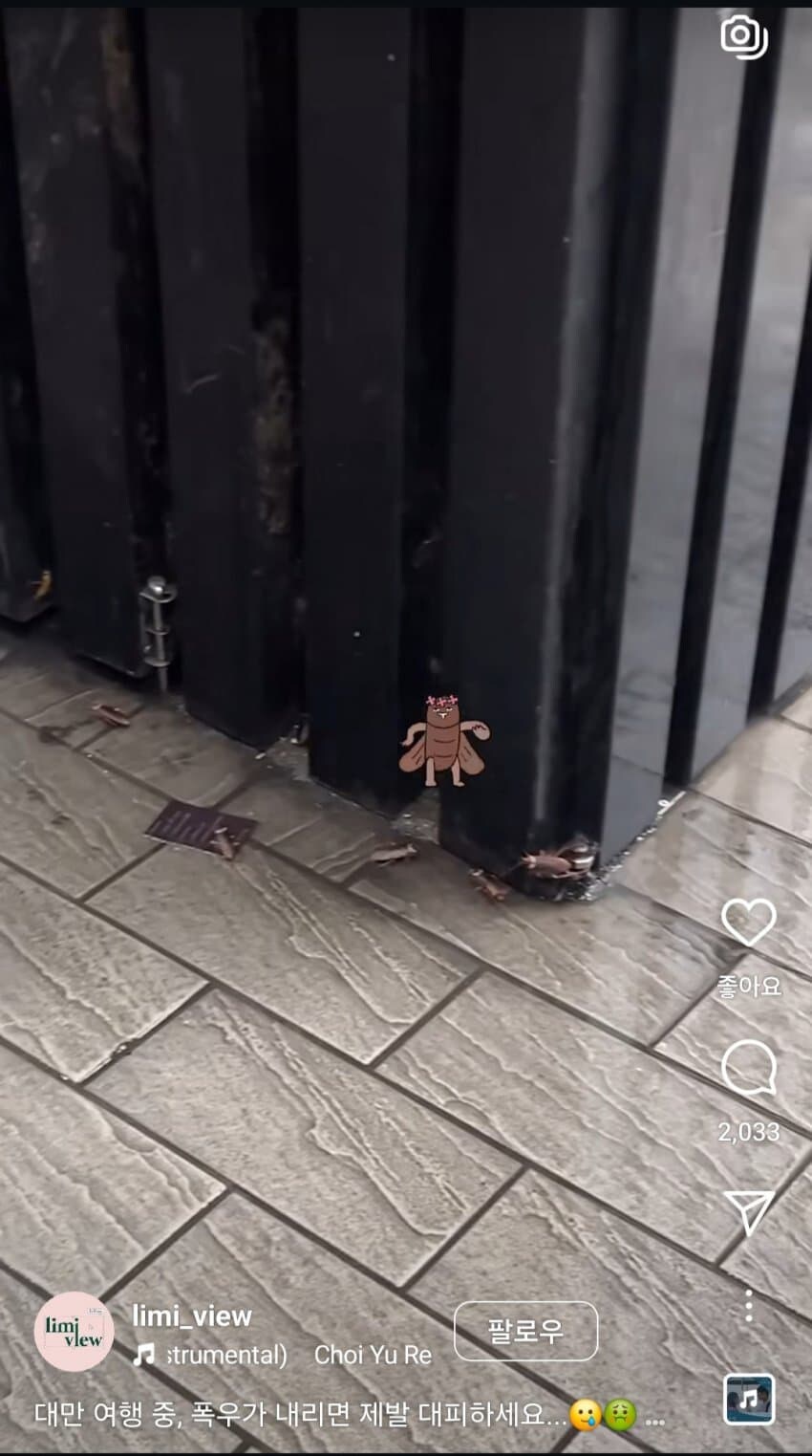 대만에서 비올때 조심해야하는거_3.jpg